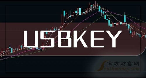 2025年USBKey上市龙头企业名单发布，通讯产品研发引领新趋势